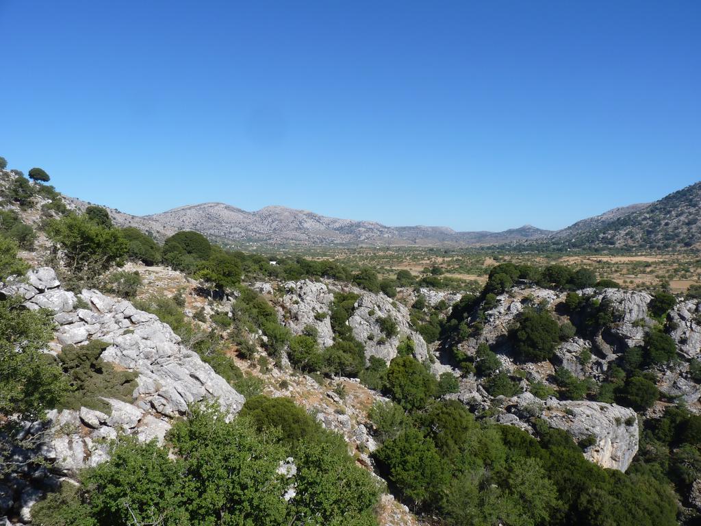 Marmaketon Maison Kronio Lassithi Plateau חדר תמונה