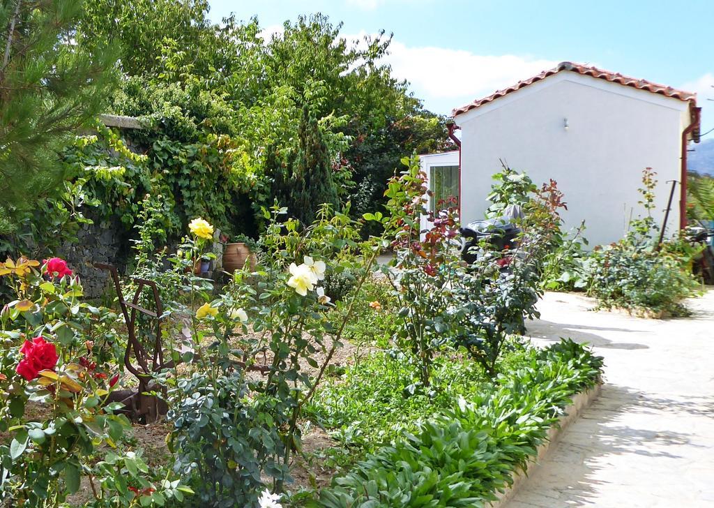 Marmaketon Maison Kronio Lassithi Plateau מראה חיצוני תמונה
