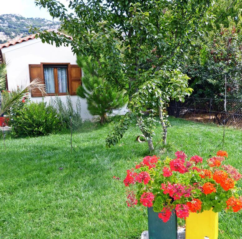 Marmaketon Maison Kronio Lassithi Plateau מראה חיצוני תמונה