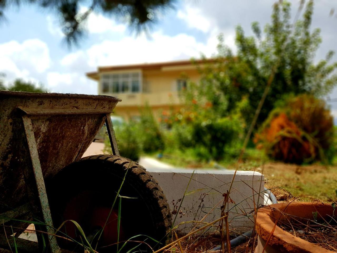 Marmaketon Maison Kronio Lassithi Plateau מראה חיצוני תמונה